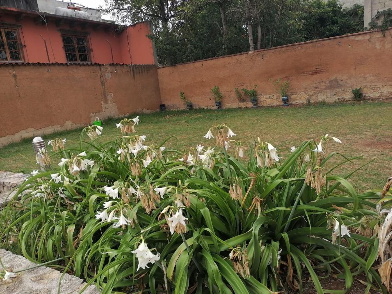 Hotel Tierra Maya San Cristóbal de Las Casas Eksteriør billede