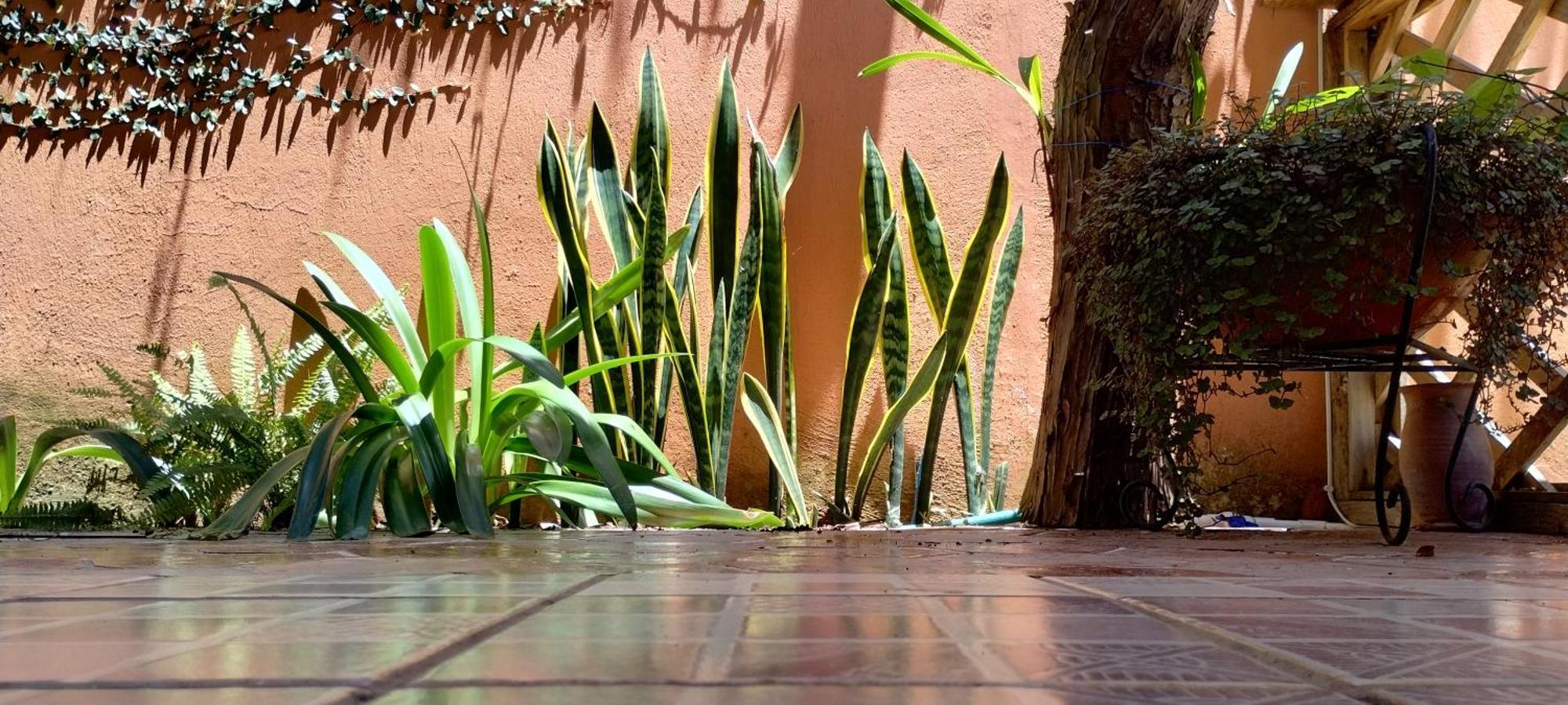 Hotel Tierra Maya San Cristóbal de Las Casas Eksteriør billede