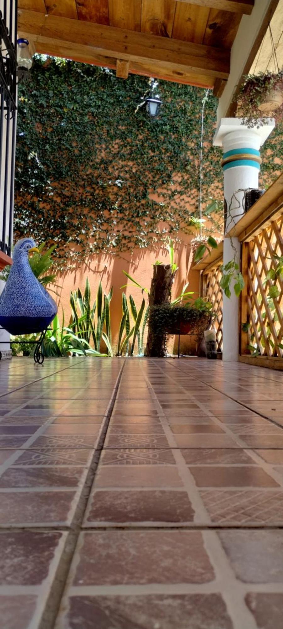 Hotel Tierra Maya San Cristóbal de Las Casas Eksteriør billede
